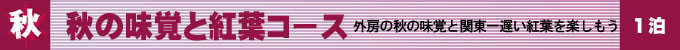 秋の味覚と紅葉コース