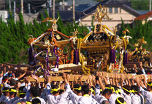 勝浦大漁まつり